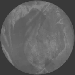 Esprit Hochflorteppich Alice Grau -Bieco-Shop esprit hochflorteppich alice grau a375842 1