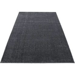 Giancasa Uni Kurzflorteppich Wohnzimmer Schlafzimmer Flachflorteppich 7000 ANTHRAZIT -Bieco-Shop giancasa uni kurzflorteppich wohnzimmer schlafzimmer flachflorteppich 7000 anthrazit a366443 13