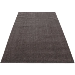 Giancasa Uni Kurzflorteppich Wohnzimmer Schlafzimmer Flachflorteppich 7000 Mocca -Bieco-Shop giancasa uni kurzflorteppich wohnzimmer schlafzimmer flachflorteppich 7000 mocca a366448 2